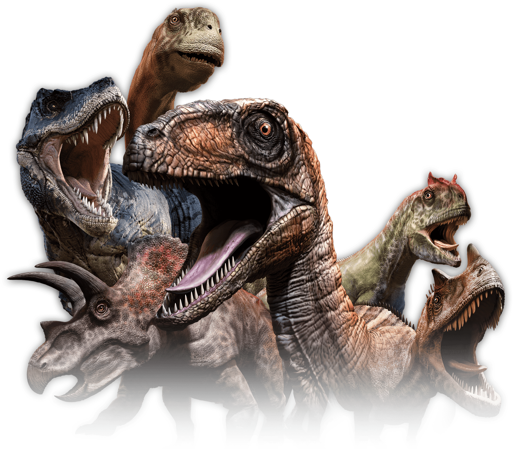 Farmer Teds Adventure Farm